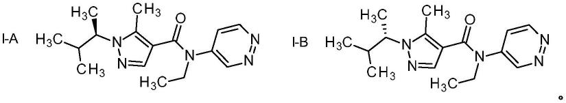 通过三乙基氯化铵稳定嗪虫唑酰胺悬浮液的制作方法