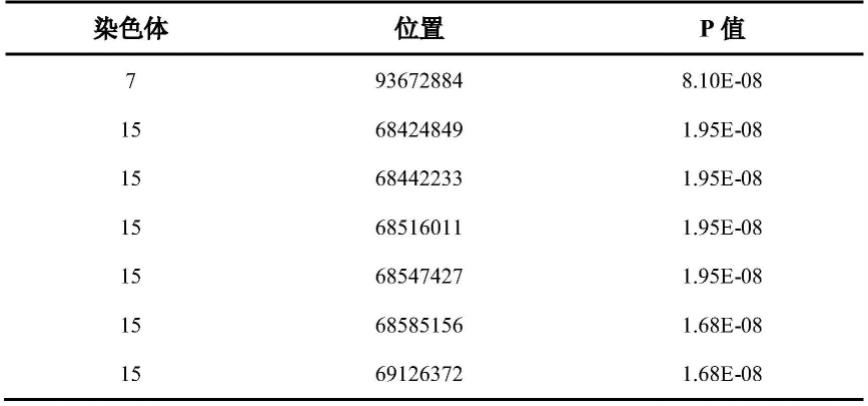 与母猪产死胎性状相关的SNP分子标记及其应用