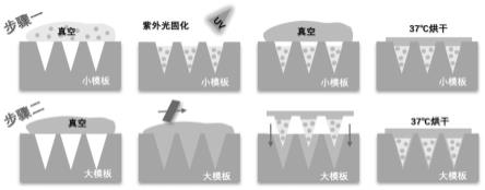 一种用于特应性皮炎的双层微针贴片的制备方法