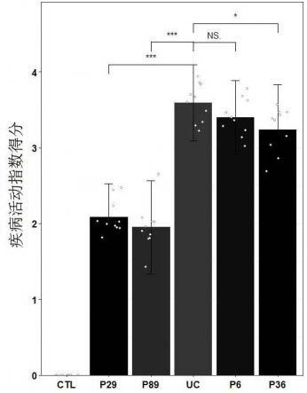 一种基于抑制脂多糖产生的功能性益生菌的筛选方法与流程