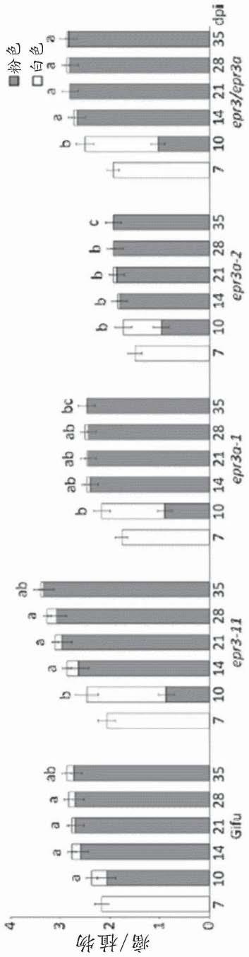 用于识别和结构化微生物群系的修饰外泌多糖受体