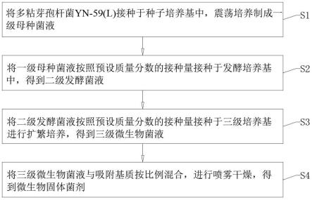 一种多粘芽孢杆菌及其微生物固体菌剂的制备方法与应用