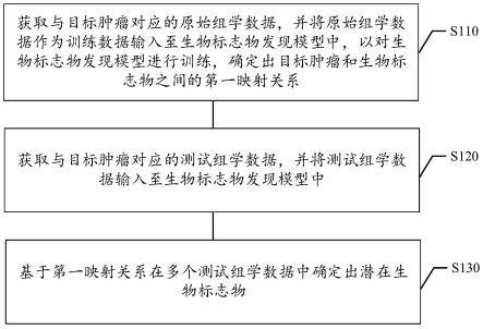 生物标志物确定方法及装置、存储介质、电子设备与流程