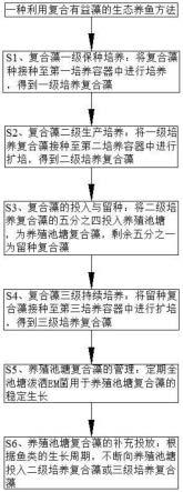 一种利用复合有益藻的生态养鱼方法与流程