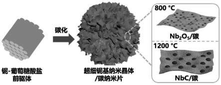 一种超细铌基纳米晶体/碳纳米片复合材料及其制备方法和应用