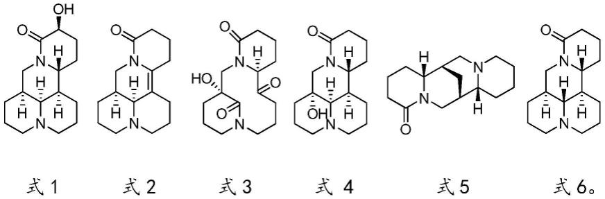 抗炎舒缓的苦参生物碱、其制备方法及应用与流程