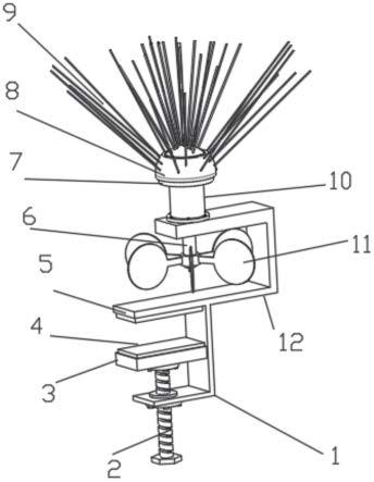 鸟刺安装示意图图片