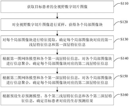 一种生存预测方法、装置、设备和存储介质与流程