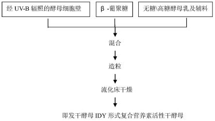 复合营养素活性酵母、其制备方法及应用与流程