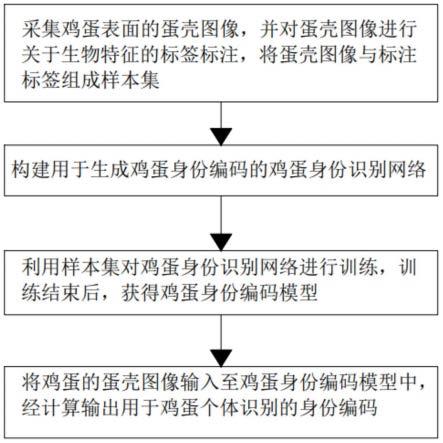 一种基于鸡蛋蛋壳图像特征的身份识别方法及系统