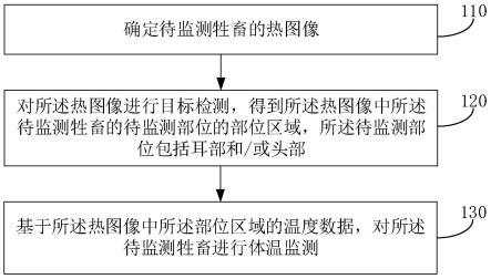 牲畜体温监测方法、装置、电子设备和存储介质与流程