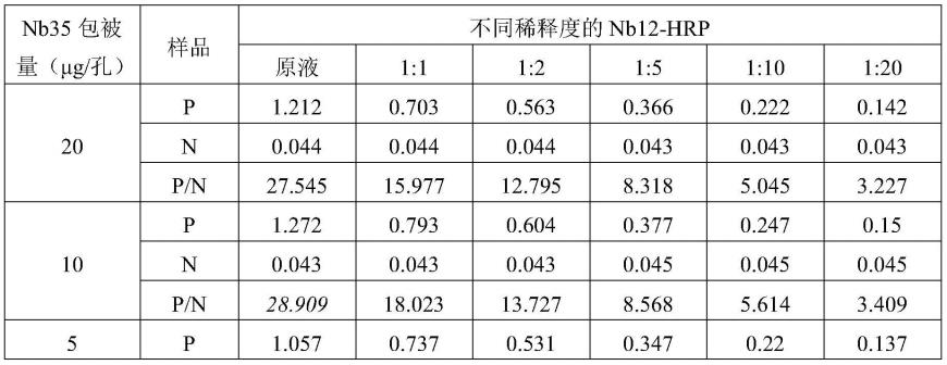 一种用于检测PRRSV抗原的纳米抗体对、试剂盒及其应用