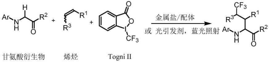 一种γ位三氟甲基氨基酸衍生物及制备方法