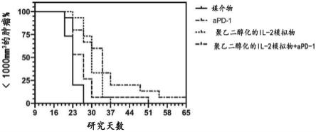 使用IL-2受体激动剂和免疫检查点抑制剂的组合疗法的制作方法