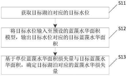 蓝藻水华损失评估方法、装置、电子设备及存储介质与流程