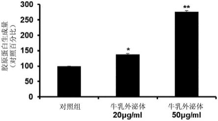 包含牛乳外泌体的用于增强皮肤弹性及改善皱纹的组合物