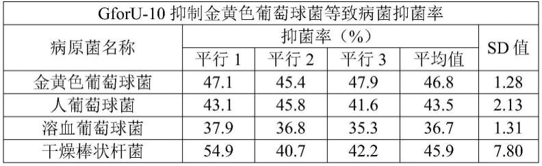 一株戊糖片球菌及其应用的制作方法