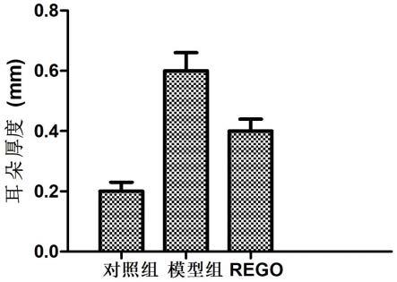 一种能够预防和/或治疗特应性皮炎的婴儿双歧杆菌及其应用的制作方法