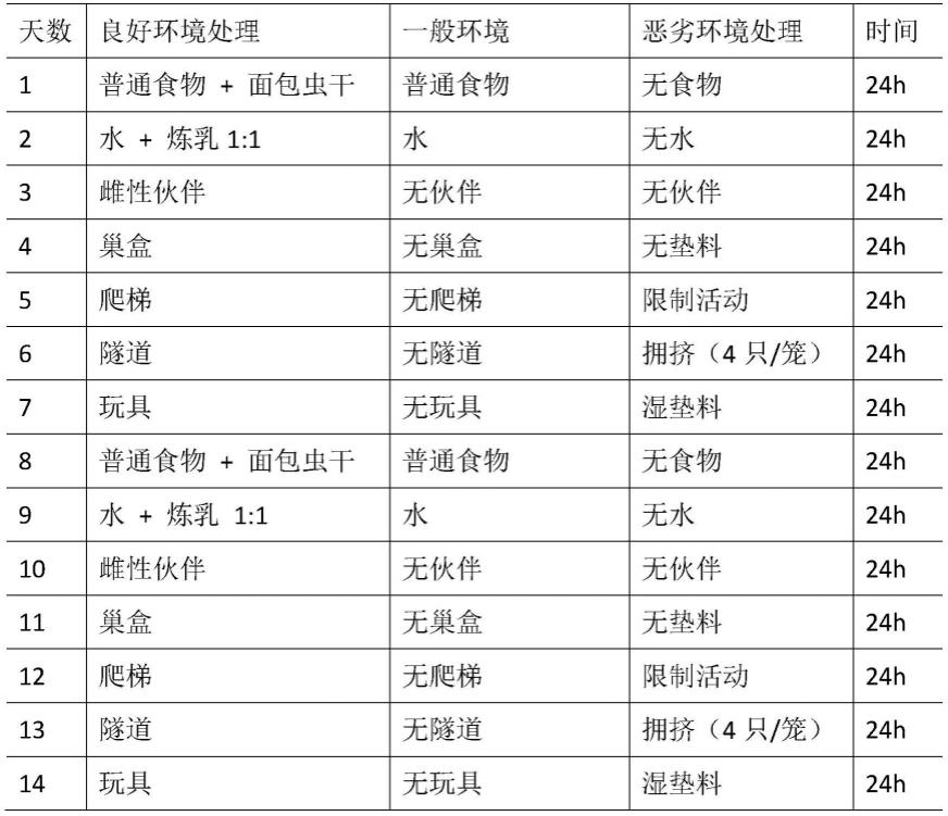 一种啮齿动物饲养与行为学实验装置及建立慢性社会比较应激模型的方法