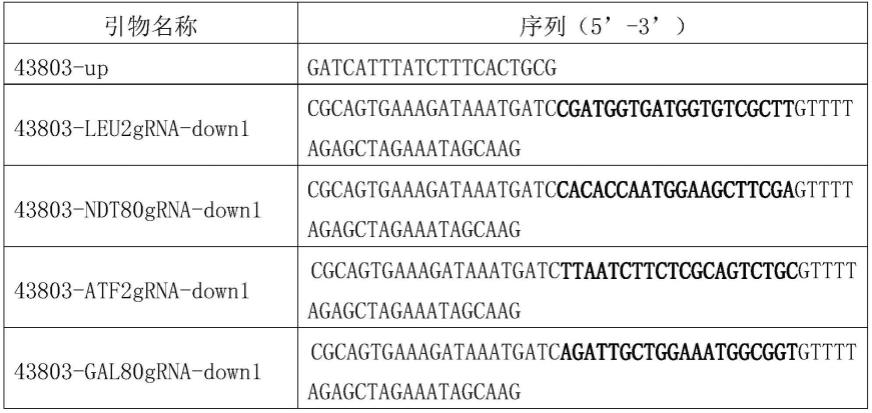 薯蓣皂素合成菌株构建及应用