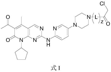 靶向CDK4或CDK6的共价抑制剂及其应用