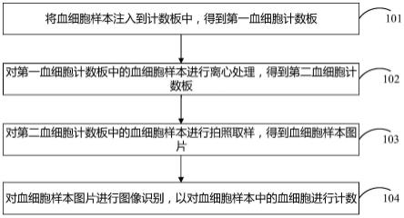 血细胞的计数方法、装置、存储介质及电子设备与流程