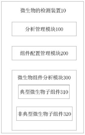 一种微生物的检测装置、方法、电子设备及存储介质与流程