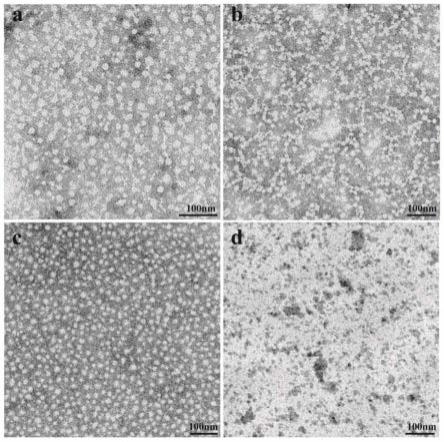 用于预防和阻断继发龋的抗生物膜-再矿化材料及其制备方法和应用