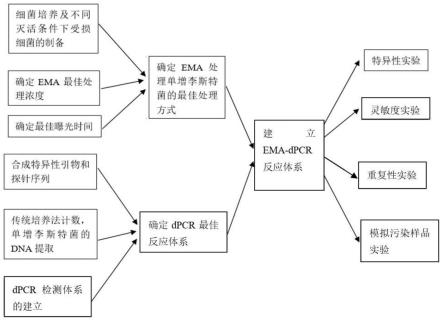 EMA处理结合微控芯片数字PCR检测肉制品中单增李斯特菌的方法