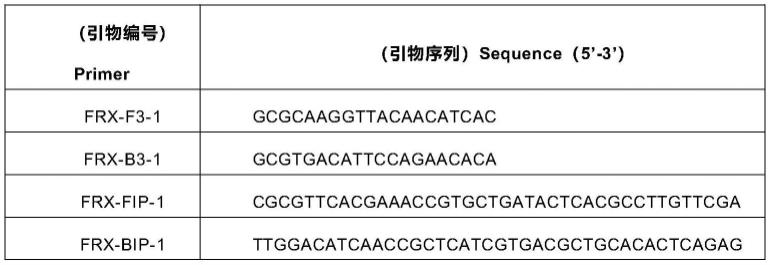 一种手持核酸检测仪、核酸检测方法及核酸反应液