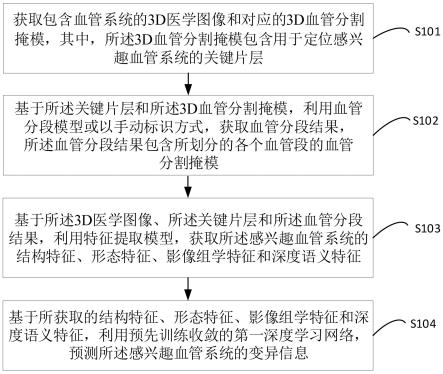 用于血管系统变异检测的方法、装置和存储介质与流程