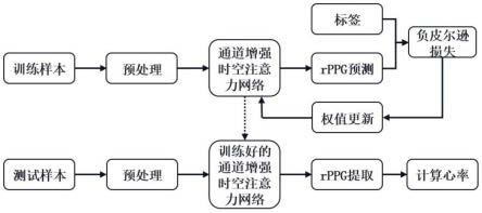 基于通道增强时空注意力网络的端到端远程心率检测方法与流程