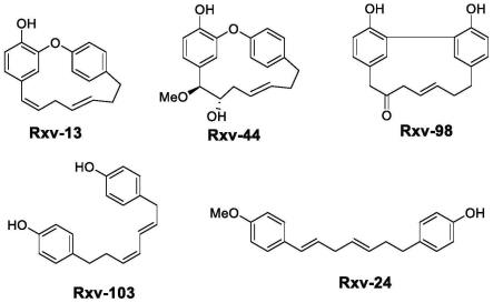 系列二芳基庚烷类化合物及其药物组合物和应用