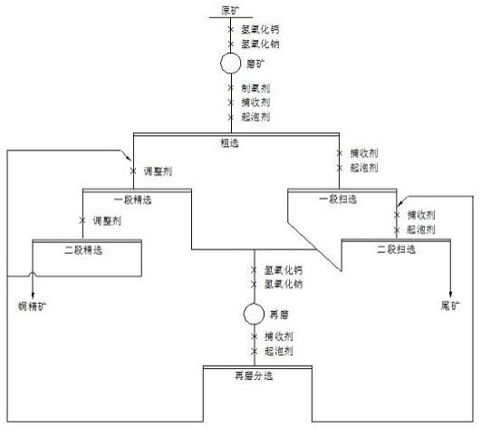 一种从黄铁矿和磁黄铁矿中回收黄铜矿的方法与流程