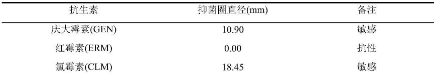 毛螺菌科微生物菌株、预防和/或治疗肿瘤的药物及应用的制作方法