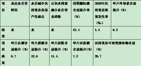 一种提升挂果期沃柑树系统抗冻性和抗寒性的方法与流程