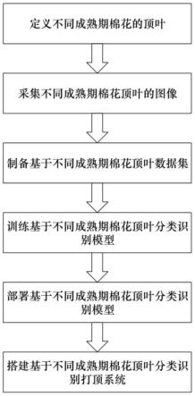 一种基于棉花顶叶成熟期分类识别的化学打顶方法与流程