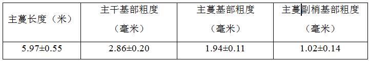 一种V形架改棚架的葡萄架形改造方法与流程