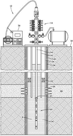 潜水泵组件及其使用方法与流程