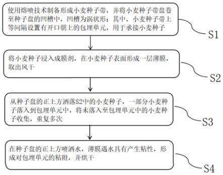 一种小麦播种带及其制备方法与流程