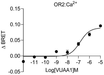 VUAA-1作为OR2配体及其在害虫防治中的应用