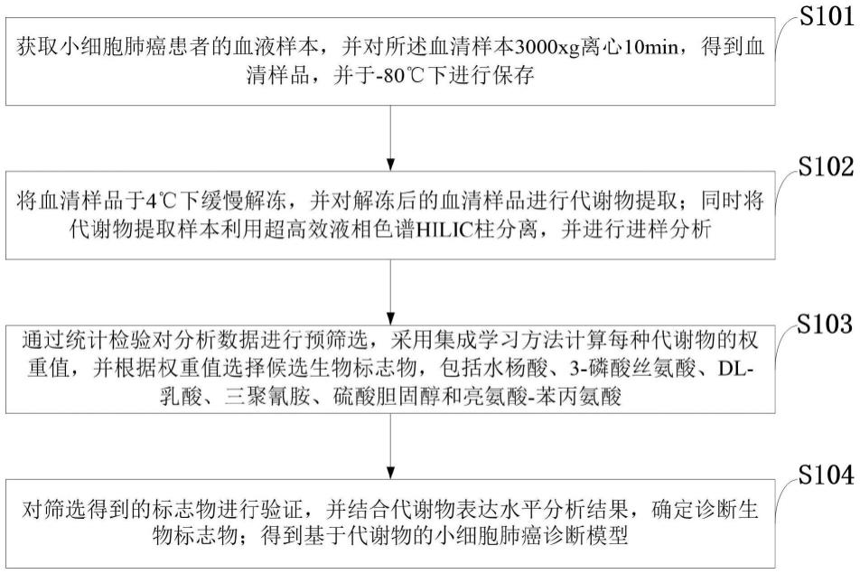 小细胞肺癌数据信息检测中小细胞肺癌诊断模型构建方法