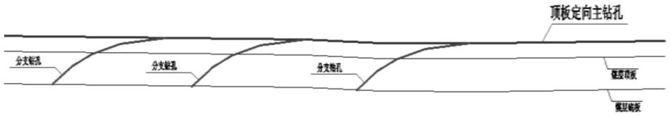 羽状多功能定向钻孔布置方法与流程