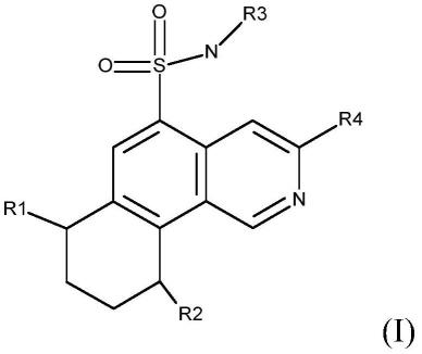 可用作IGE调节剂的四氢苯并-喹啉磺酰胺衍生物的制作方法