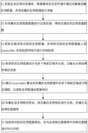 基于ScratchDet算法的生态生物识别方法与流程