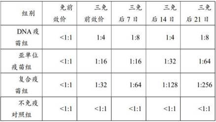 一种小鹅瘟病毒的复合疫苗及卵黄抗体的制备方法与流程