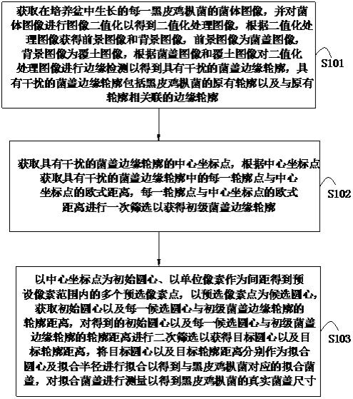 一种基于黑皮鸡枞菌的菌盖尺寸原位测量方法