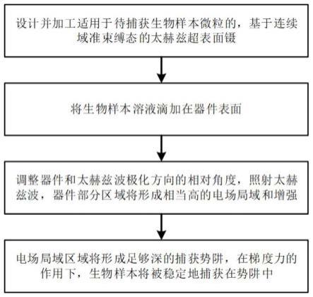 基于连续域准束缚态太赫兹超表面镊捕获生物样本的方法