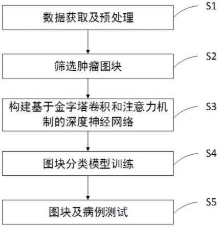 一种多尺度融合注意力的深度学习癌症分子分型预测方法与流程