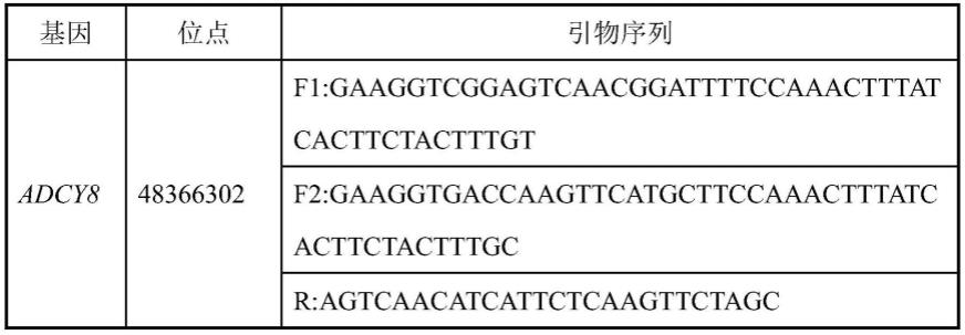 含有ADCY8基因用于筛选新疆驴泌乳性状的试剂盒及其应用